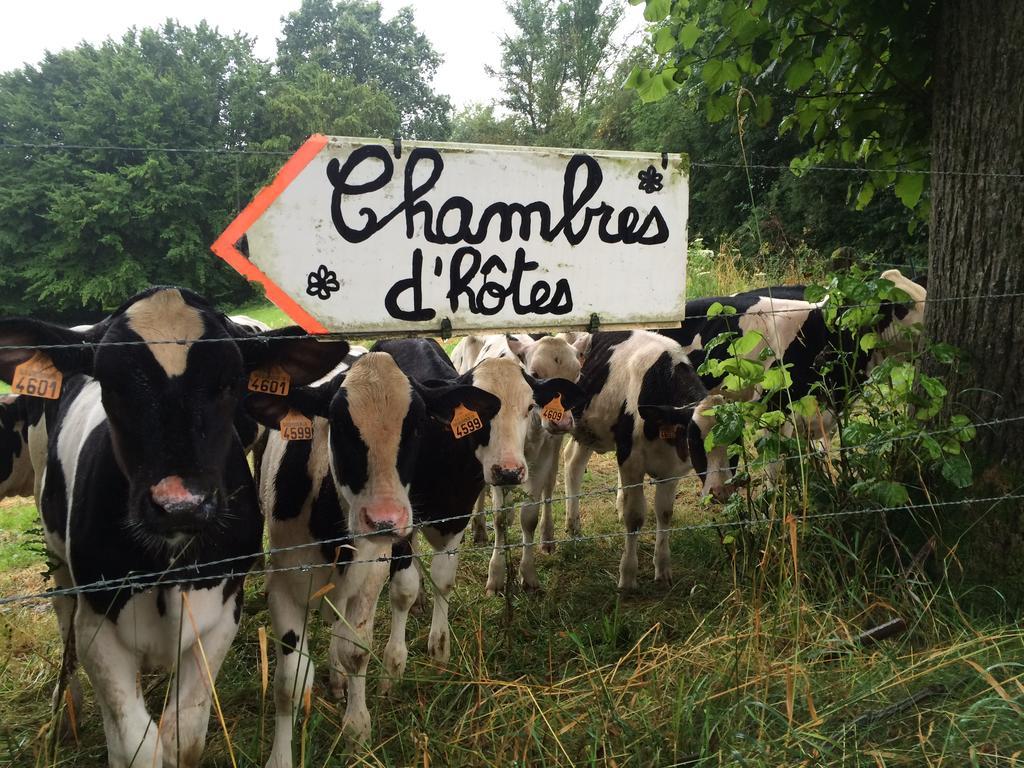 Les Chambres De Ribeaufontaine Dorengt Zewnętrze zdjęcie