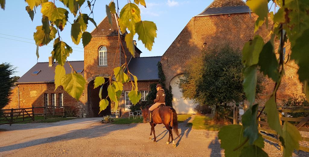 Les Chambres De Ribeaufontaine Dorengt Zewnętrze zdjęcie